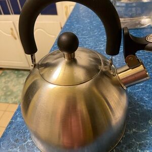 Stainless Steel Whistling Tea Kettle with Black Handle
